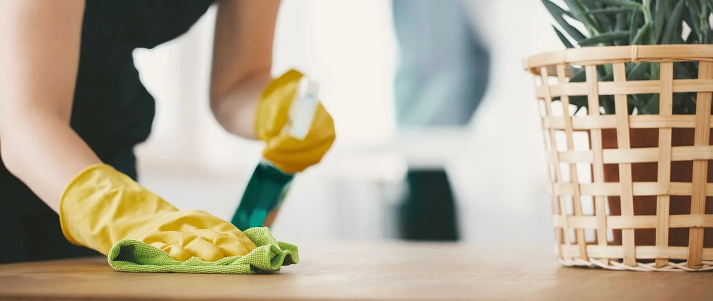 One Time Cleaning
